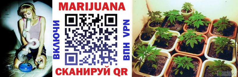 Где купить Сальск Cocaine  Меф  A-PVP  МАРИХУАНА  Гашиш 
