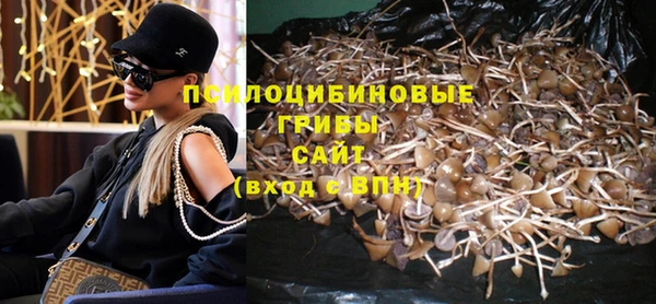 МДМА Ельня