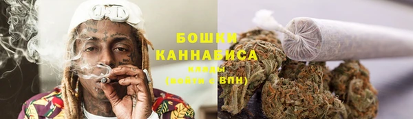 МДМА Ельня