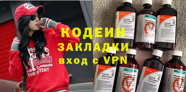 гидра Елизово