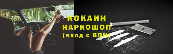гидра Елизово