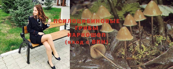 МДМА Ельня