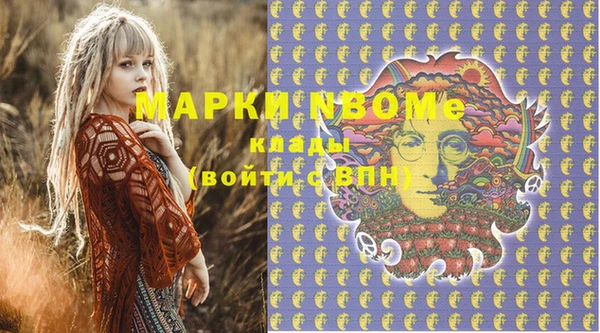 гидра Елизово