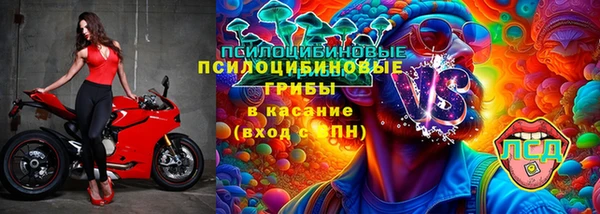 МДМА Ельня
