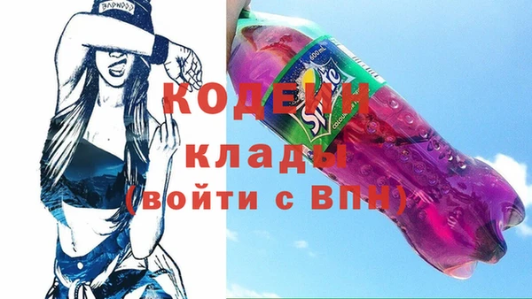 гидра Елизово
