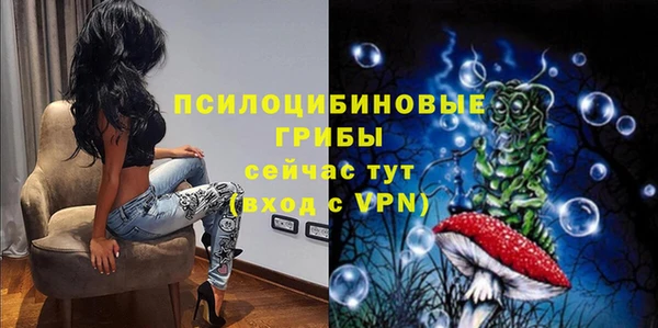 гидра Елизово