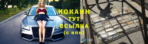 гидра Елизово