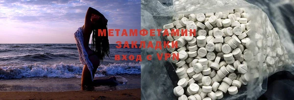 гидра Елизово