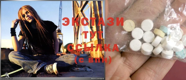 гидра Елизово