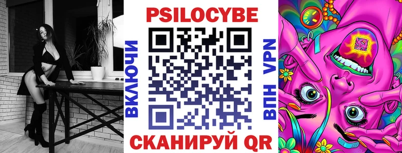 Галлюциногенные грибы Psilocybe  Сальск 